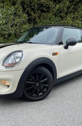 MINI diesel pack salt